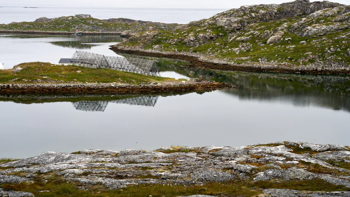 From Diesel Dependency to Solar-Storage