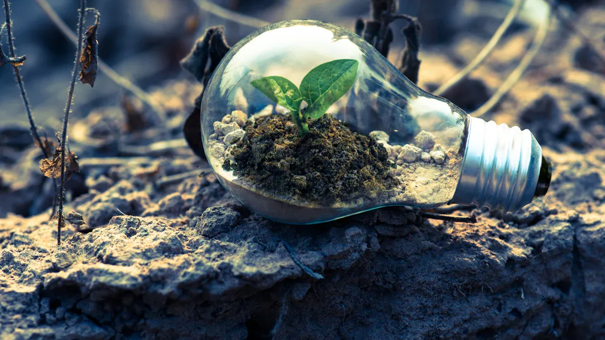 Supporting Biodiversity and Ecosystems